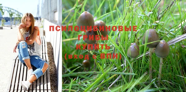 дмт Михайлов